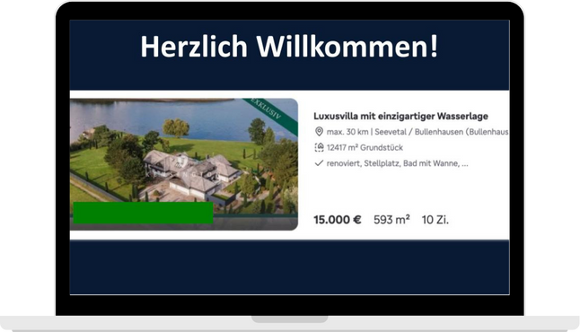 Stefanie Scheel - Webinar